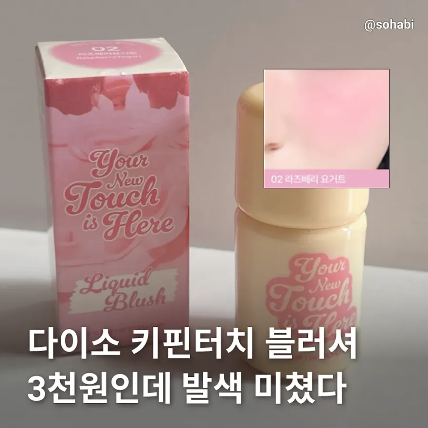  다이소 키핀터치 블러셔 02 라즈베리요거트 쿨톤 추천