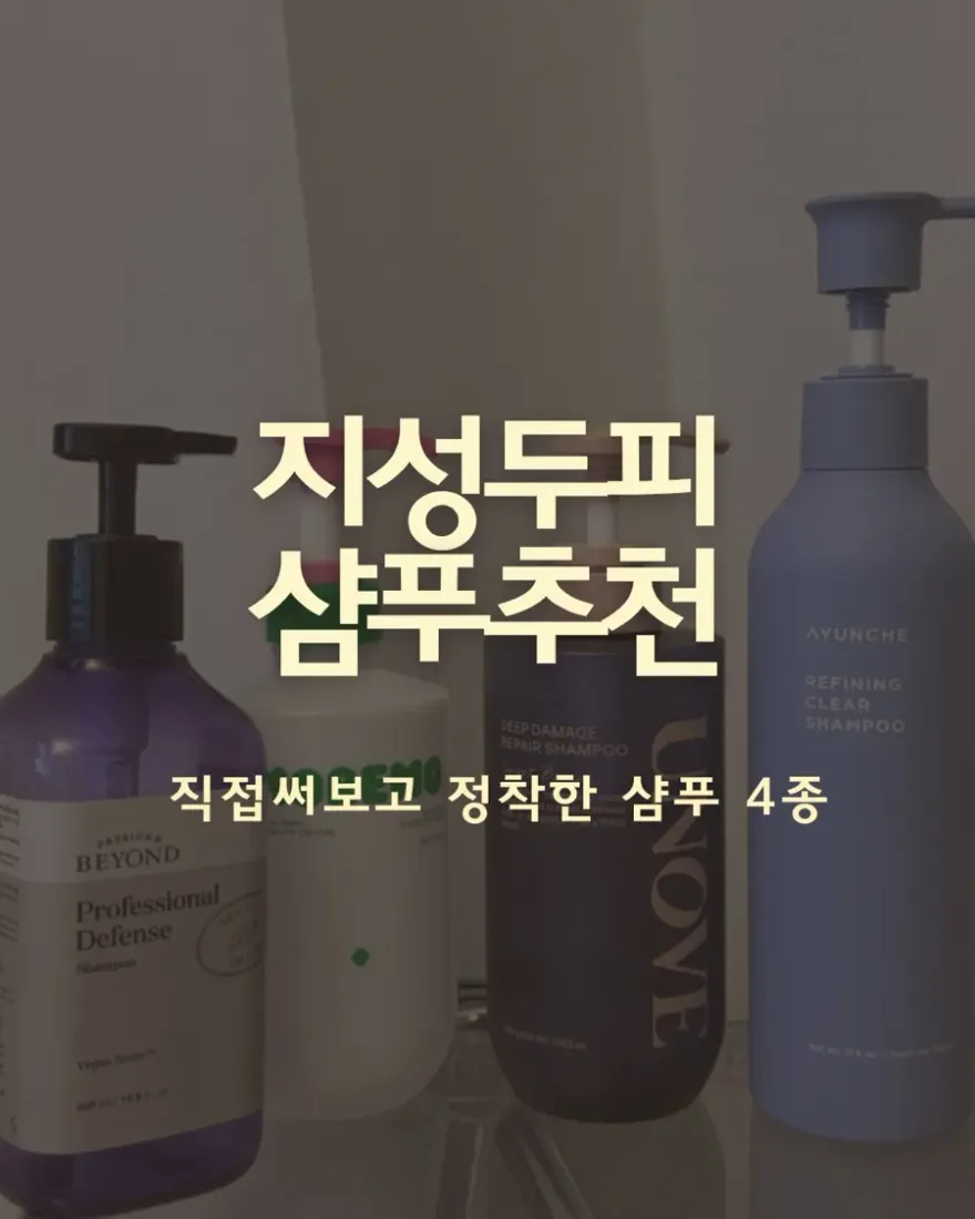지성 지성두피 샴푸 4종 비교: 가려움·피지 잡은 내돈내산 후기
