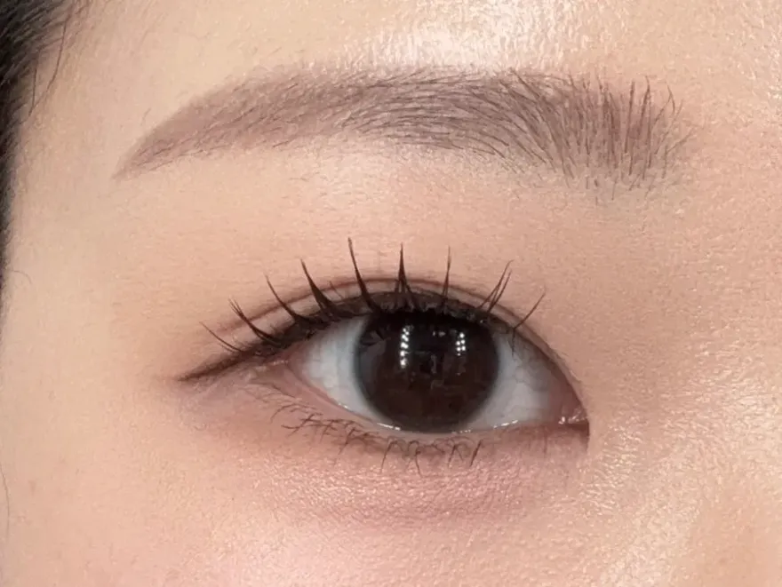 다이소 홀리카홀리카 섀도우 팔레트 1호+3호 발색 후기 — 사진 3