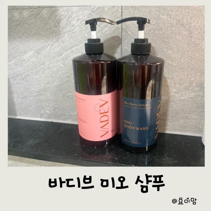 바디브 샴푸·트리트먼트