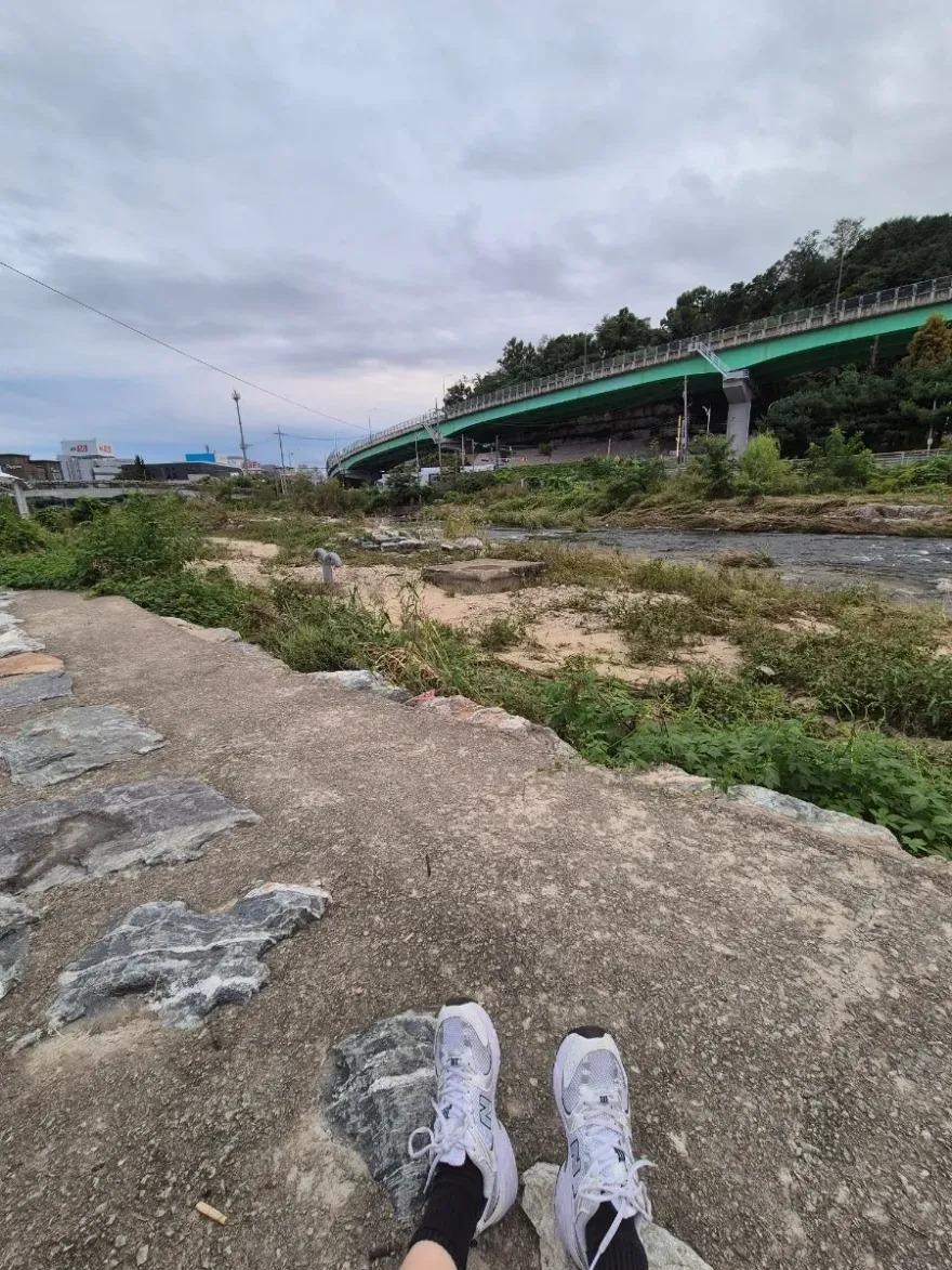 그린핑거 선쿠션, 운동·일상 간편 사용 후기 — 사진 5