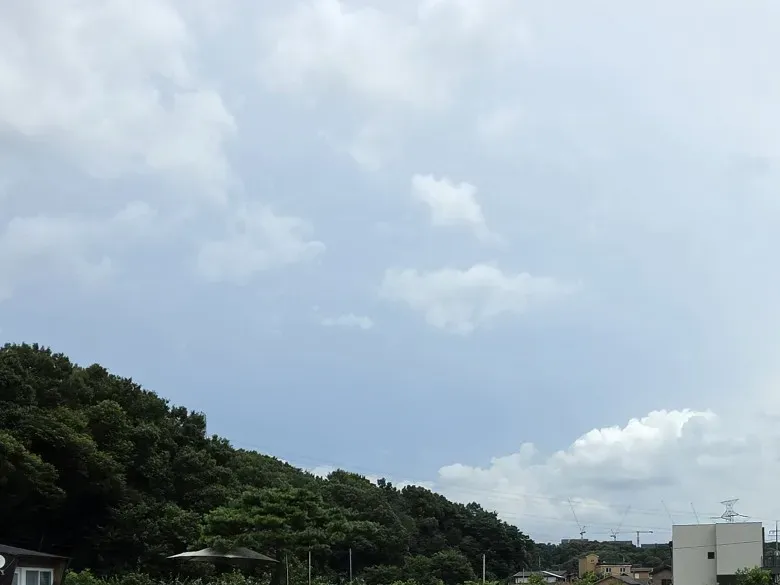 30대 건성 피부 톤업 선쿠션 추천: 아떼 비건 릴리프 퍼플 — 사진 2